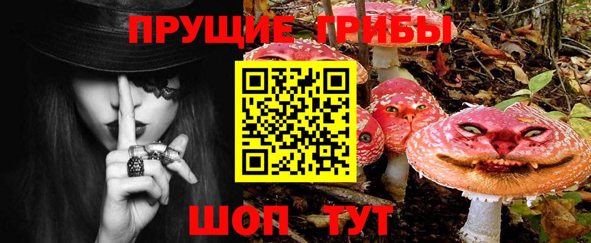 Галлюциногенные грибы Psilocybine cubensis  Вход с VPN  Липецк 